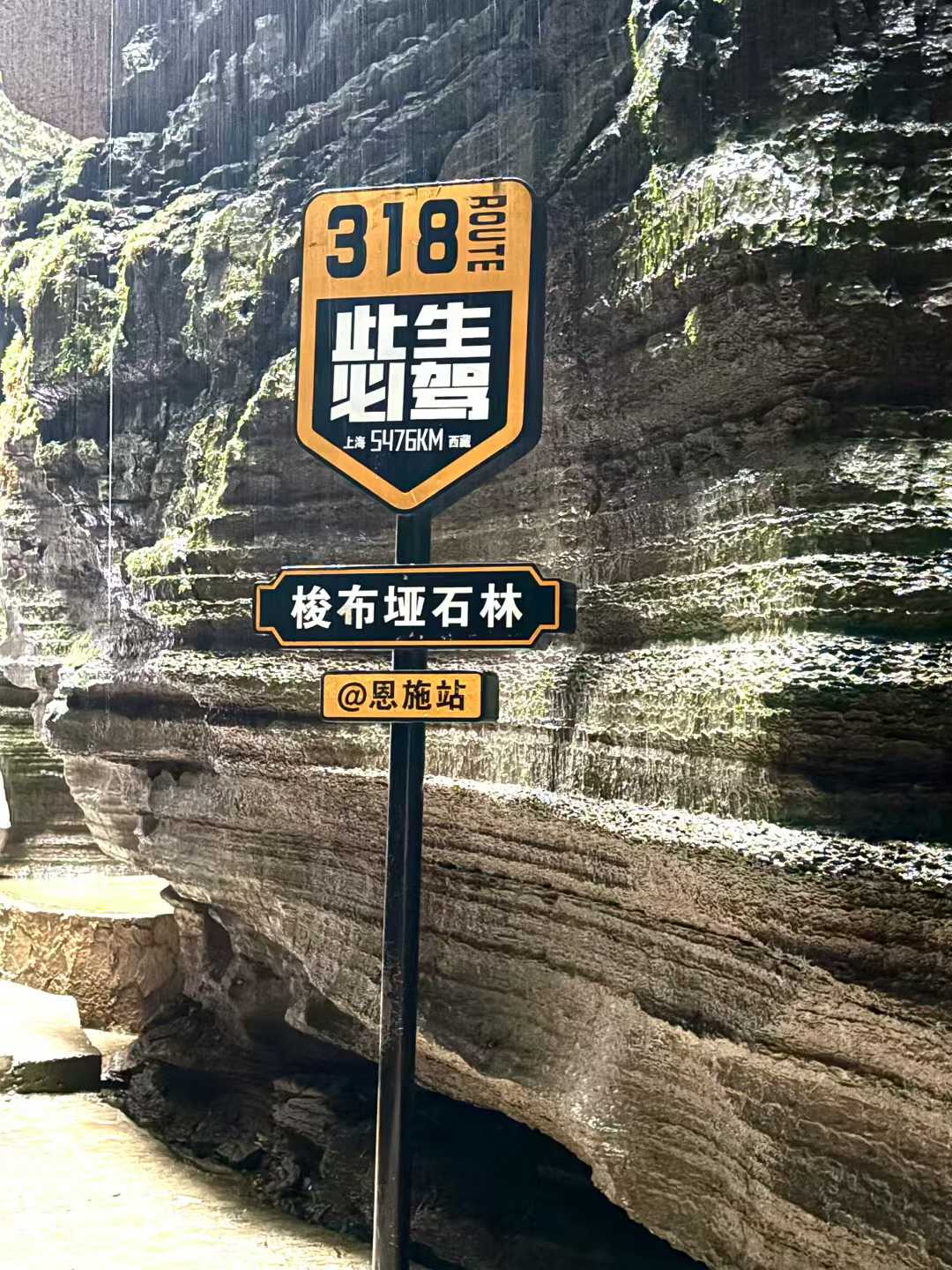 391431760198017_.pic.jpg