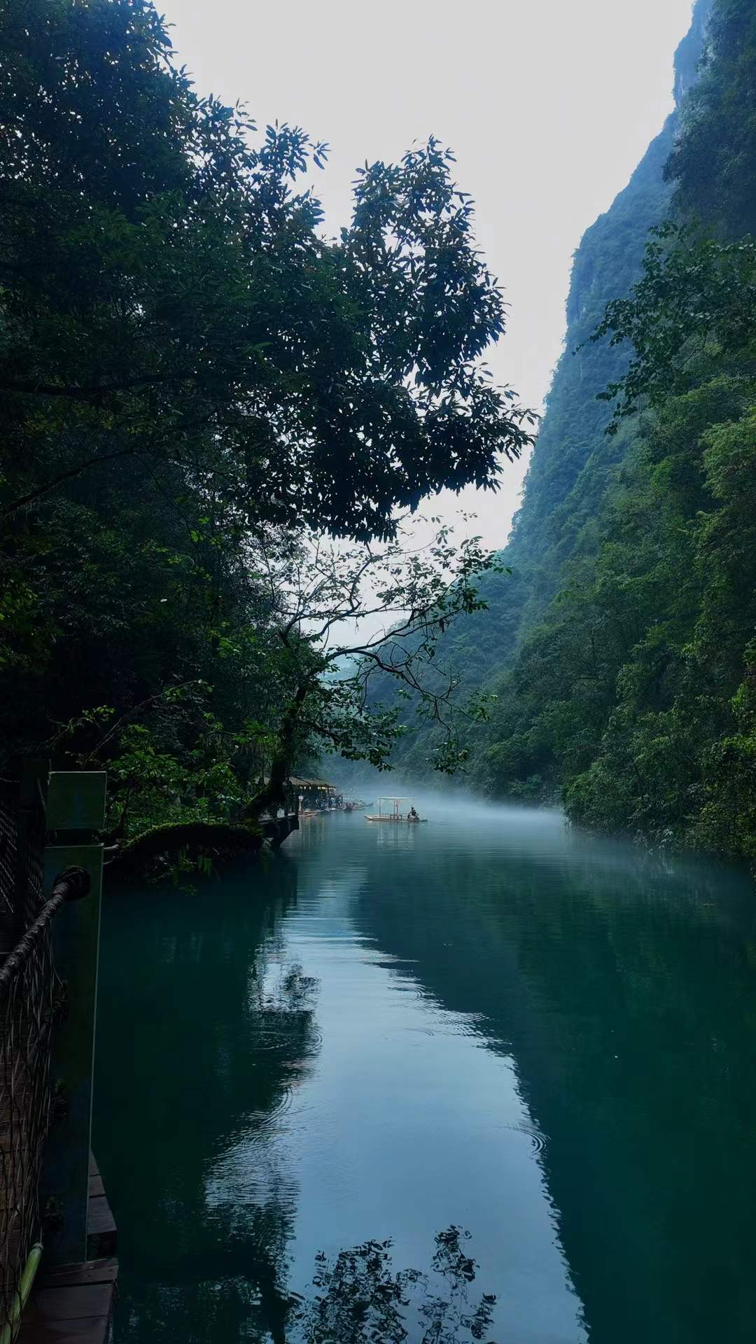 391461760198017_.pic.jpg